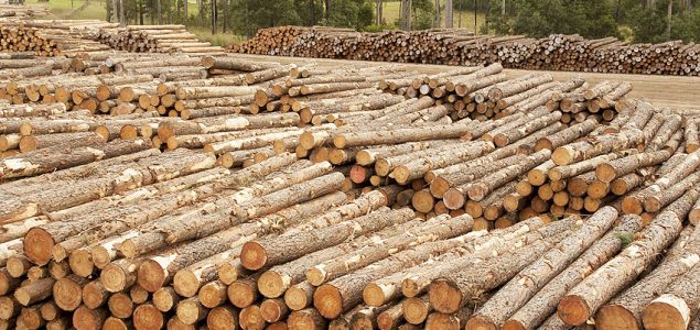 Export prices for New Zealand's logs start to fall - Timber Industry News