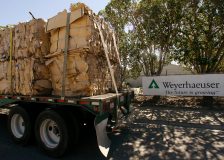 Weyerhaeuser reduces lumber production by 20%