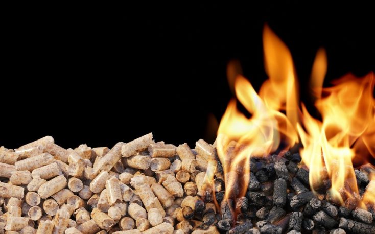 Current trends in Europe’s industrial wood pellet market