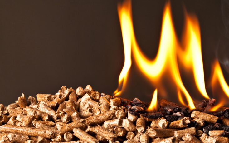 The Netherlands says that burning biomass is not sustainable