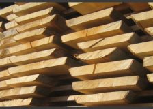 Croatia to host the largest unedged beech lumber sawmill