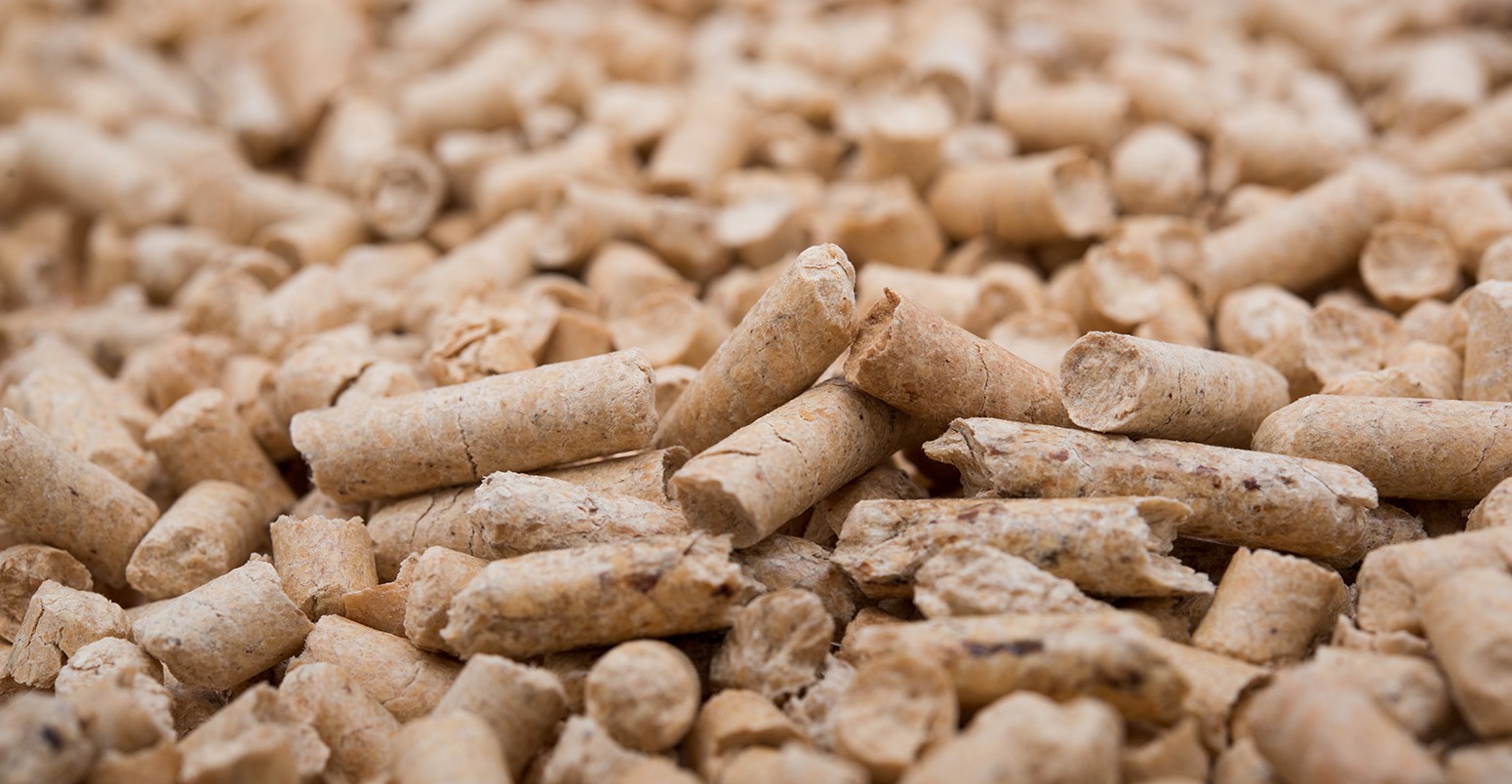 UK Plans To Suspend Fuel Quality Requirements For Wood Pellets Timber 