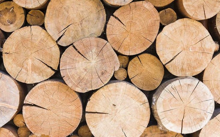 Lithuania plans timber export ban as sanctions cause raw material shortage