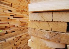 European softwood logs exports to China rose significantly during H1/2019