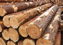 Roundwood trade in Finland reported great success for 2017; log prices went up