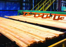 Rex Lumber to build new softwood mill in Alabama