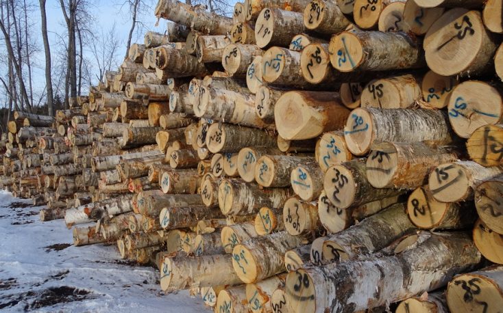 Swedish sawlog prices on the rise during the 3rd quarter of 2018