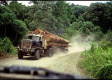 Sabah to ban timber exports