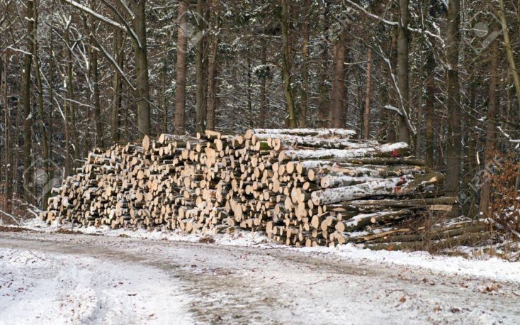 Spring – summer 2018 average prices for standing timber in Belgium