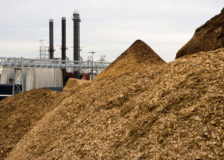 German institute develops new drying technique that could reduce costs for biomass