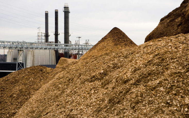 German institute develops new drying technique that could reduce costs for biomass