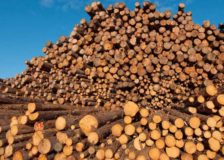 Finland: UPM, Metsä and Stora Enso escape accusations of underpricing