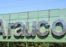 Arauco’s sales down 18.8% in Q1/2020