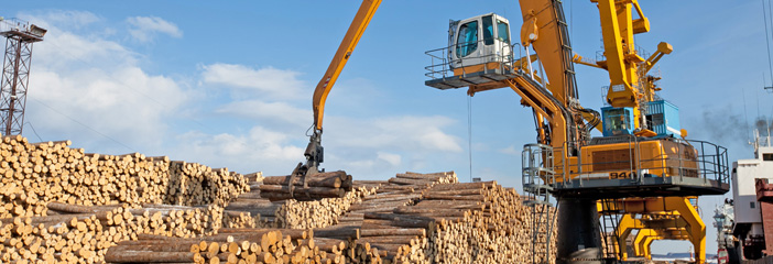 RFP Group plans to build wood processing plant in Russia's Far East