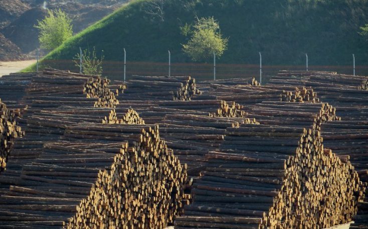 Timber prices soar in China, supplies short amid coronavirus disruptions