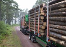 Södra lowers the spruce and pine logs prices as a result of economy slowdown