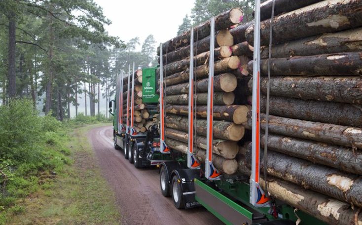 Södra lowers the spruce and pine logs prices as a result of economy slowdown