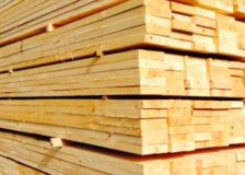 Global demand for European sawn softwood sees sharp rise