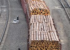 China: Boom in timber delivered via railway