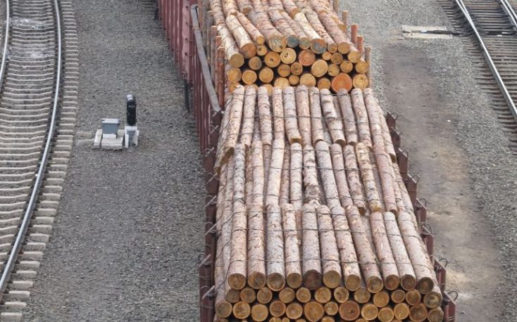 China: Boom in timber delivered via railway