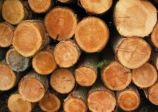 Dutch imports of FLEGT licensed timber are on the rise