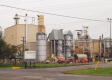 Arauco’s particleboard operations in St. Stephens, Canada to cease by the end of 2019