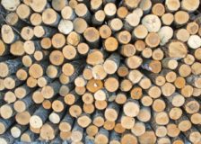 Price of birch wood rising sharply in Finland