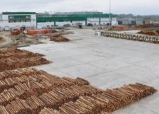 Russian timber industry in search for new markets