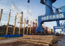 China: Prices for imported timber expected to revive now