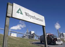 Weyerhaeuser expects higher lumber sales in Q1/2023