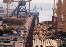 China: Imported timber prices fall as construction activity is slow