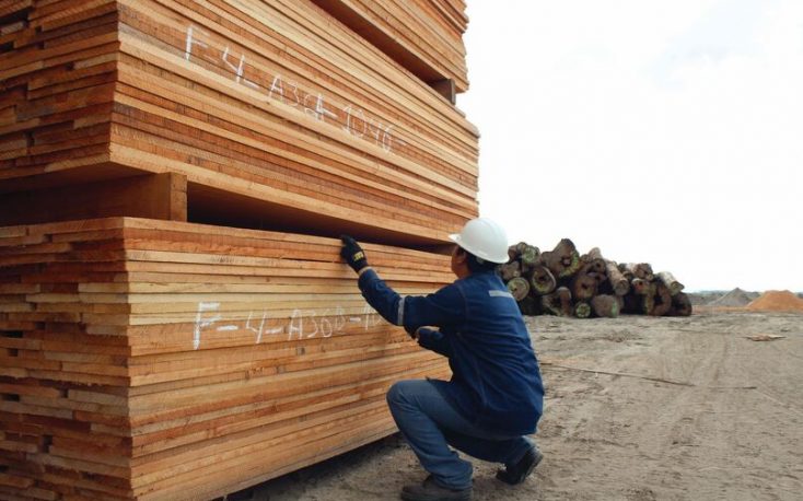 EU imports of tropical sawnwood up 24%