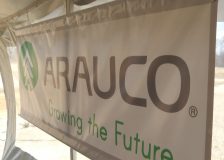 Arauco reports lower sales and prices of wood-based panels, especially MDF