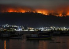 Arauco warns of $50 million hit from wildfires in Chile