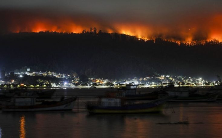 Arauco warns of $50 million hit from wildfires in Chile