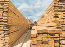 Canadian lumber CEOs to press government to start softwood talks with U.S.