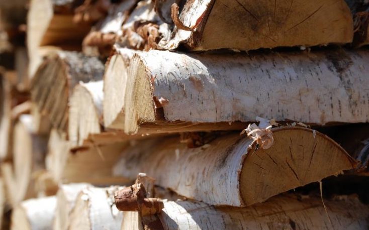 EU to weigh up future of wood-burning as renewable energy