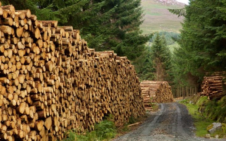 Log prices continue to rise in Finland