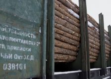 Northwestern Russian timber companies consider relocation to Far East