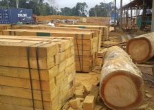 Price increases drive up EU27 tropical wood imports