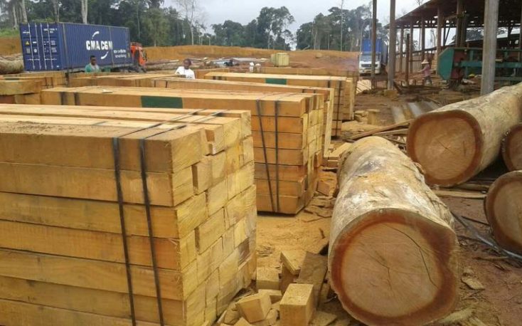 Price increases drive up EU27 tropical wood imports