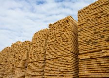 Swedish sawn timber prices start to rise again