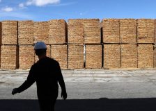 US lumber prices do not react to the latest crisis