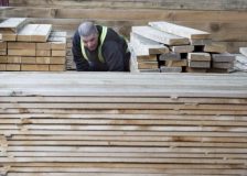 US lumber prices surge as housing starts unexpectedly rise