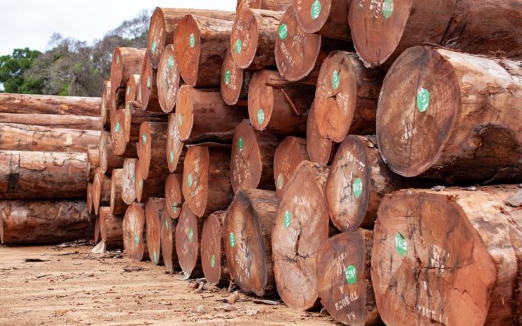 West African timber trade transitioning to a new norm