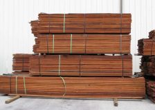 Brazilian timber prices rising across the board