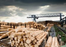 China: Timber imports fall in Q1/2023; prices follow the trend