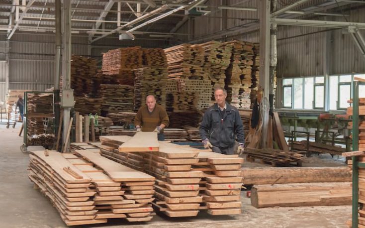 Czech Republic: Export of logs fall sharply due to bark beetle retreat; sawmills boost processing