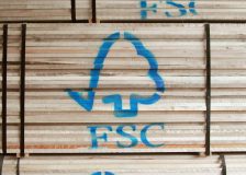 FSC certification for 2 million ha in Poland is about to expire