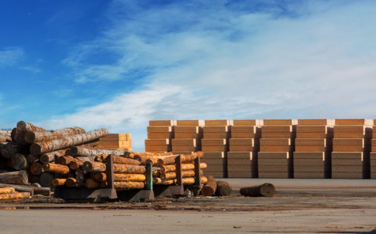 Global weak lumber markets led to reduced sawlog prices